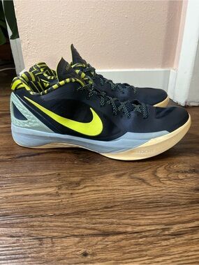 Nike Zoom Hyperdunk Low